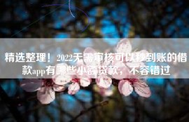 精选整理！2022无需审核可以秒到账的借款app有哪些小额贷款，不容错过