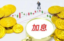 金融股和防御性股票在加息期间的表现如何？