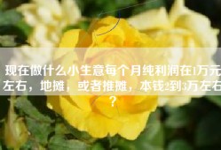 现在做什么小生意每个月纯利润在1万元左右，地摊，或者推摊，本钱2到3万左右？