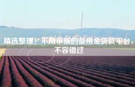 精选整理！不用审核的备用金贷款平台，不容错过