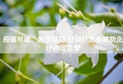应延尽延、能贷尽贷 安徽打出金融助企纾困组合拳