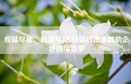 应延尽延、能贷尽贷 安徽打出金融助企纾困组合拳