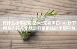 有什么小额贷款是2022无视黑白100%秒下网贷？这几个就是容易借钱的小额平台