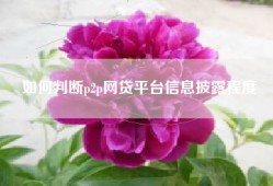 如何判断p2p网贷平台信息披露程度