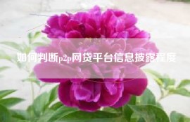 如何判断p2p网贷平台信息披露程度