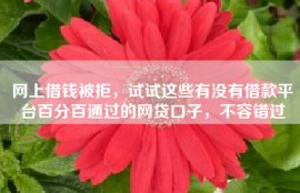 网上借钱被拒，试试这些有没有借款平台百分百通过的网贷口子，不容错过