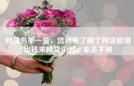 网贷名单一览，信用花了哪个网贷能借出钱来网贷平台，拿走不谢