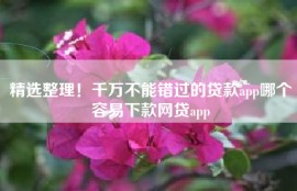 精选整理！千万不能错过的贷款app哪个容易下款网贷app