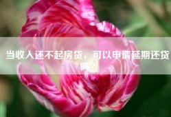 当收入还不起房贷，可以申请延期还贷吗？