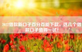 2022借款新口子百分百能下款，这几个借款口子值得一试！