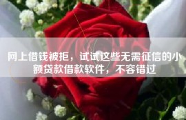 网上借钱被拒，试试这些无需征信的小额贷款借款软件，不容错过