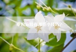 申购新股有哪些小技巧？