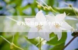 申购新股有哪些小技巧？