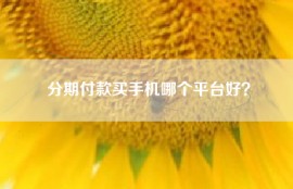 分期付款买手机哪个平台好？