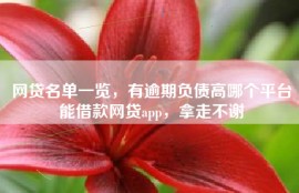 网贷名单一览，有逾期负债高哪个平台能借款网贷app，拿走不谢