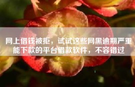 网上借钱被拒，试试这些网黑逾期严重能下款的平台借款软件，不容错过