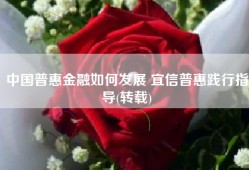 中国普惠金融如何发展 宜信普惠践行指导(转载)