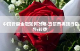 中国普惠金融如何发展 宜信普惠践行指导(转载)