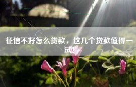 征信不好怎么贷款，这几个贷款值得一试！