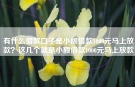 有什么借款口子是小额借款1000元马上放款？这几个就是小额借款1000元马上放款