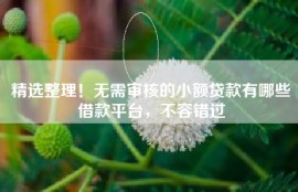精选整理！无需审核的小额贷款有哪些借款平台，不容错过