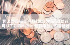 网上借钱被拒，试试这些负债高征信花可以下款的网贷2022借款平台，不容错过