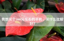 我想买个1000元左右的手机，买什么比较好？