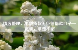 精选整理，小额贷款无征信借款口子一览表，拿走不谢