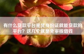 有什么贷款平台是凭身份证就能贷款的平台？这几个就是免审核借钱