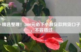 精选整理！5000元必下小额贷款网贷口子，不容错过