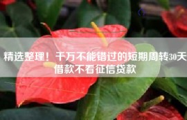 精选整理！千万不能错过的短期周转30天借款不看征信贷款