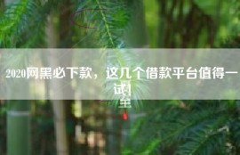 2020网黑必下款，这几个借款平台值得一试！