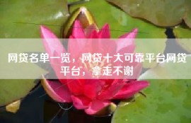 网贷名单一览，网贷十大可靠平台网贷平台，拿走不谢