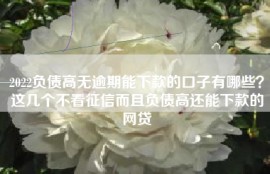 2022负债高无逾期能下款的口子有哪些？这几个不看征信而且负债高还能下款的网贷