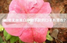 2022年无视黑白户能下款的口子有哪些？