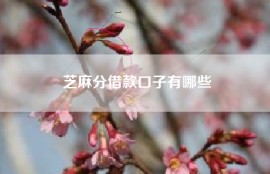 芝麻分借款口子有哪些