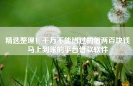 精选整理！千万不能错过的借两百块钱马上到账的平台借款软件