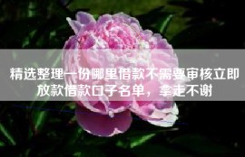 精选整理一份哪里借款不需要审核立即放款借款口子名单，拿走不谢