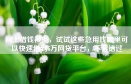 网上借钱被拒，试试这些急用钱哪里可以快速借到5万网贷平台，不容错过
