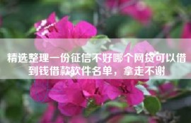 精选整理一份征信不好哪个网贷可以借到钱借款软件名单，拿走不谢