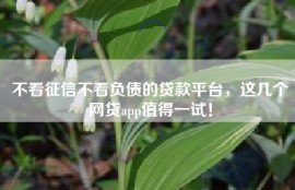 不看征信不看负债的贷款平台，这几个网贷app值得一试！