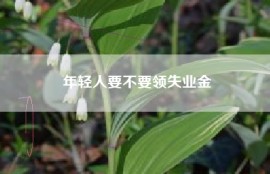 年轻人要不要领失业金