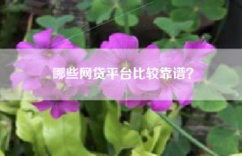 哪些网贷平台比较靠谱？