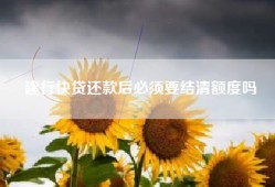 建行快贷还款后必须要结清额度吗