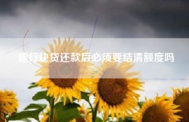 建行快贷还款后必须要结清额度吗