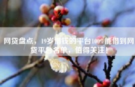 网贷盘点，19岁借钱的平台100%能借到网贷平台名单，值得关注！