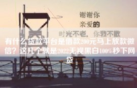 有什么贷款平台是借款200元马上放款微信？这几个就是2022无视黑白100%秒下网贷