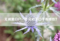 无视黑白户一千元必下口子有哪些？