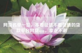 网贷名单一览，不看征信不看负债的贷款平台网贷app，拿走不谢