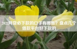 2022网贷必下款的口子有哪些？盘点几个借款平台好下款的